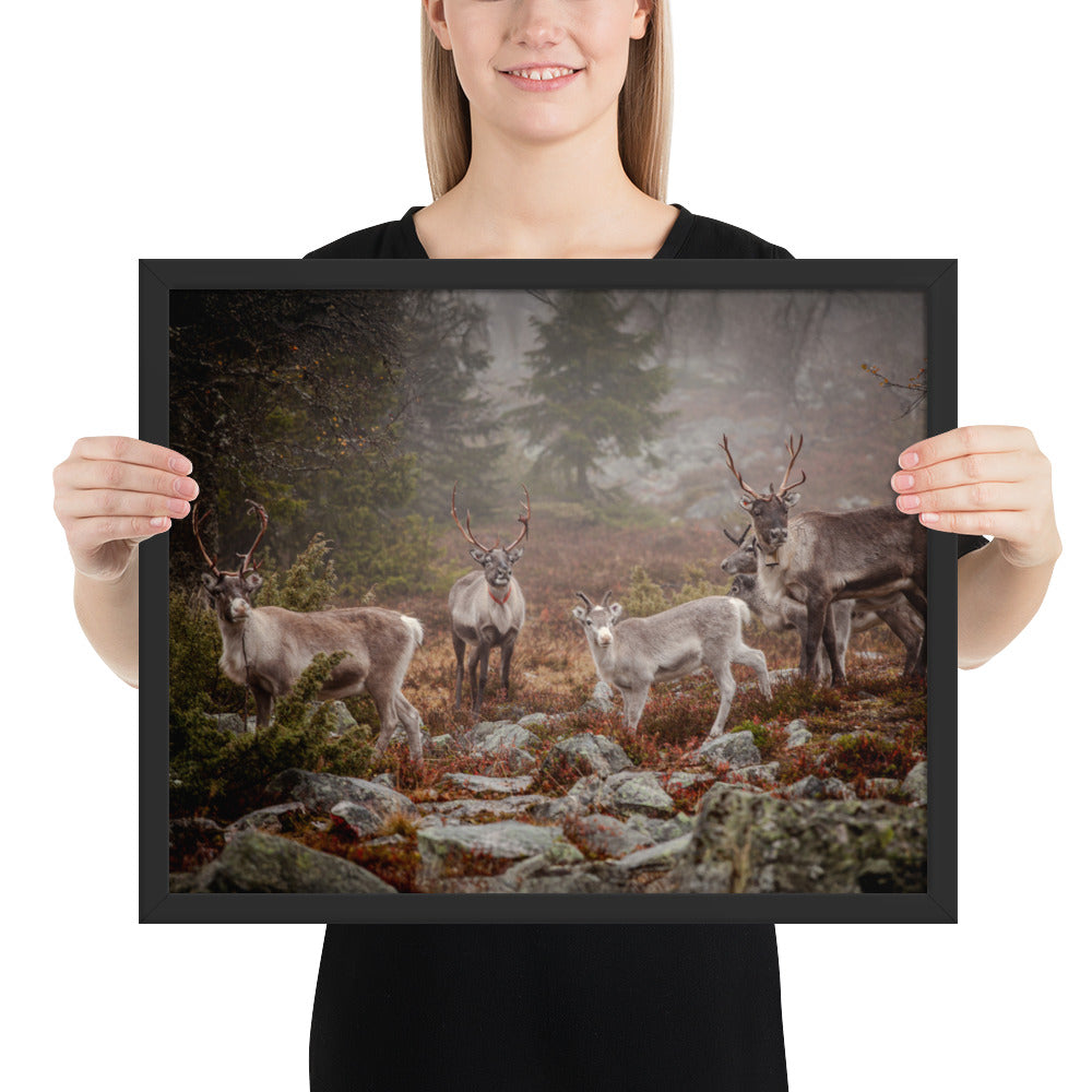 Wirvelvind Renen i den norra dimman