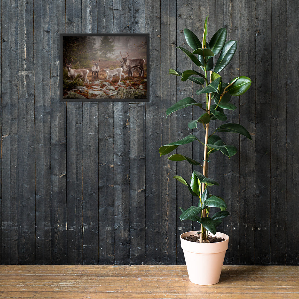 Wirvelvind Renen i den norra dimman