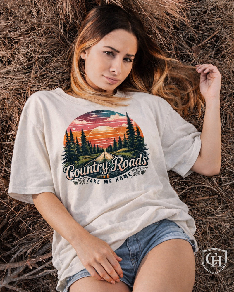 Cottonhill Country Roads heavyweight graphic t-shirt in faded bonewith retro sunset forest highway design