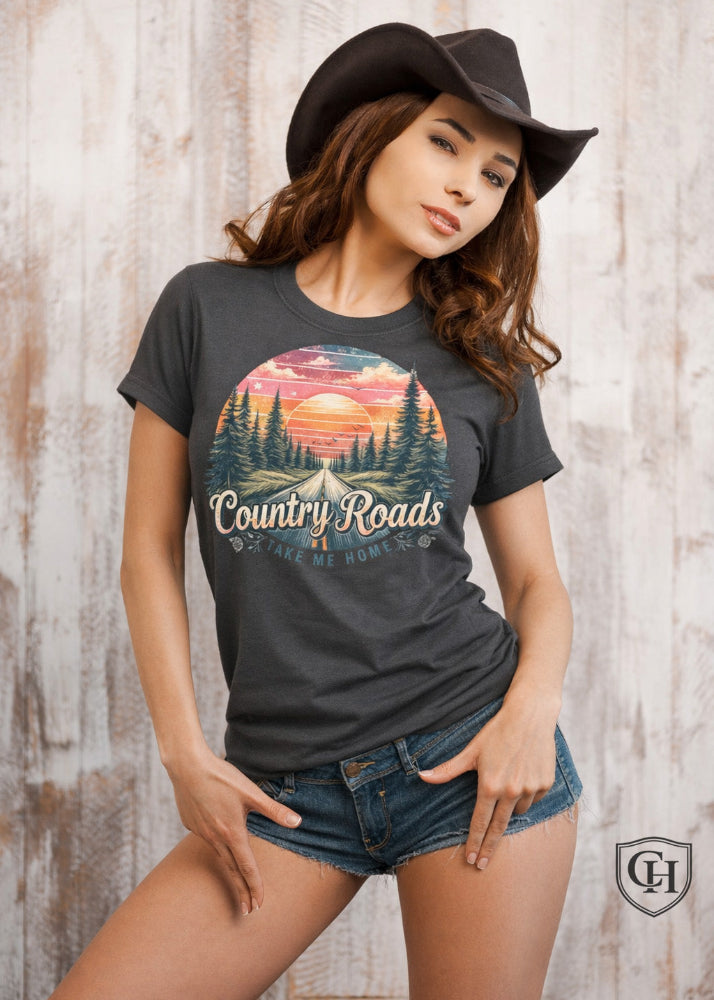 Cottonhill Country Roads heavyweight graphic t-shirt in faded black with retro sunset forest highway design